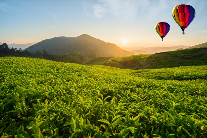 Hot air balloon over cultural traingle 