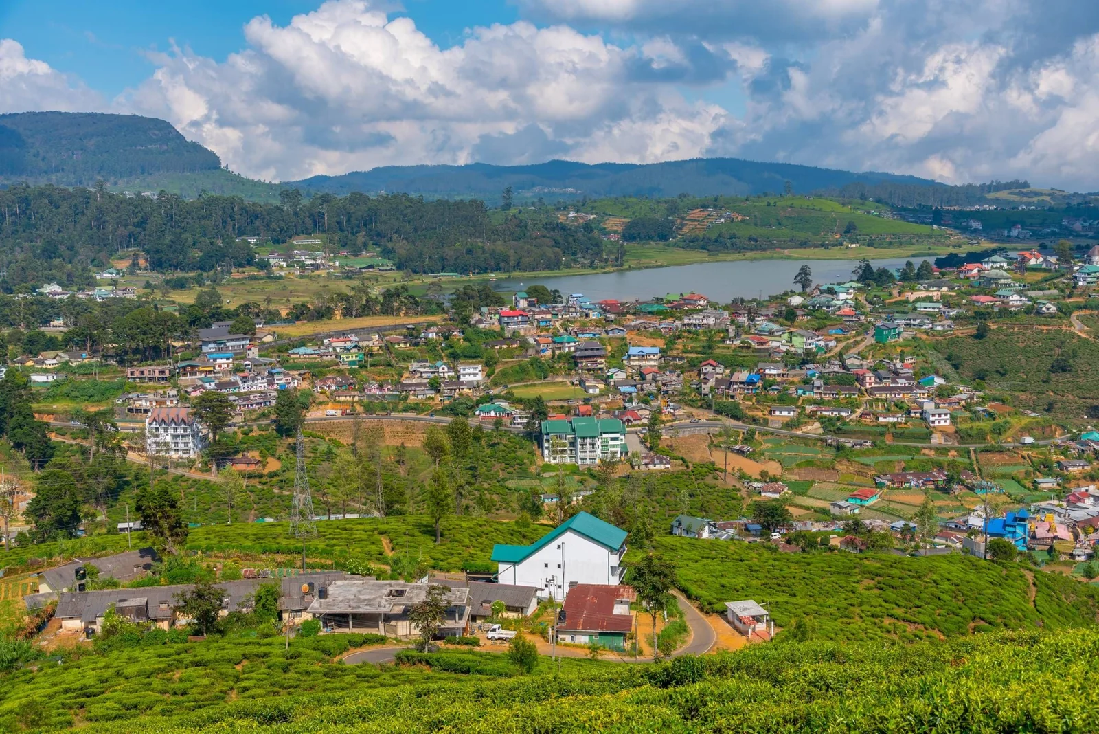 Aerial view of Nuwara Eliya