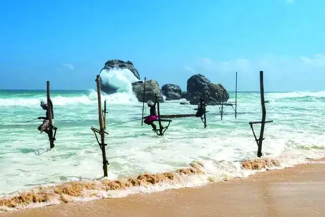 Stilt fishing, Sri Lanka