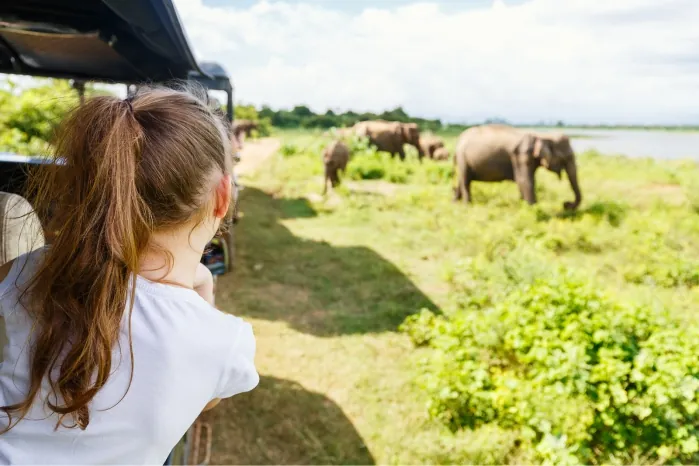 Best of Sri Lanka