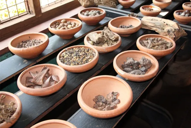 Ayurveda Indulgence — Sri Lanka experiences