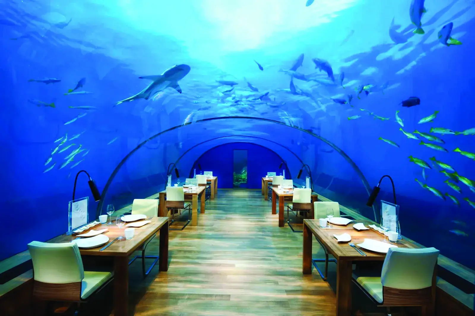 Maldives