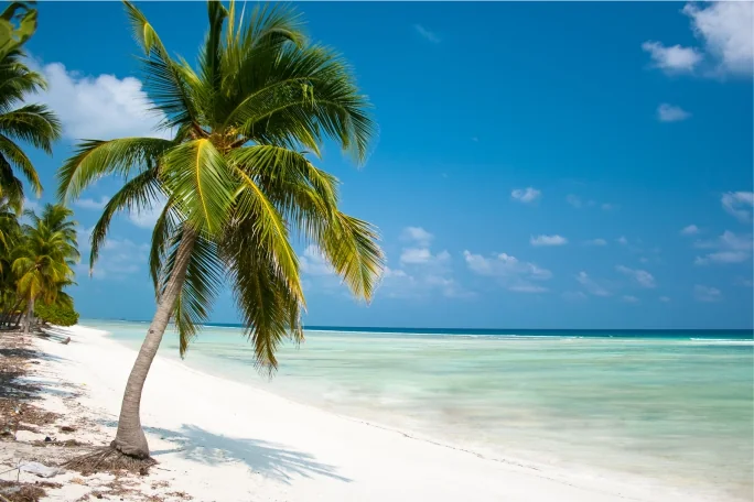 Tropical Beach Escape